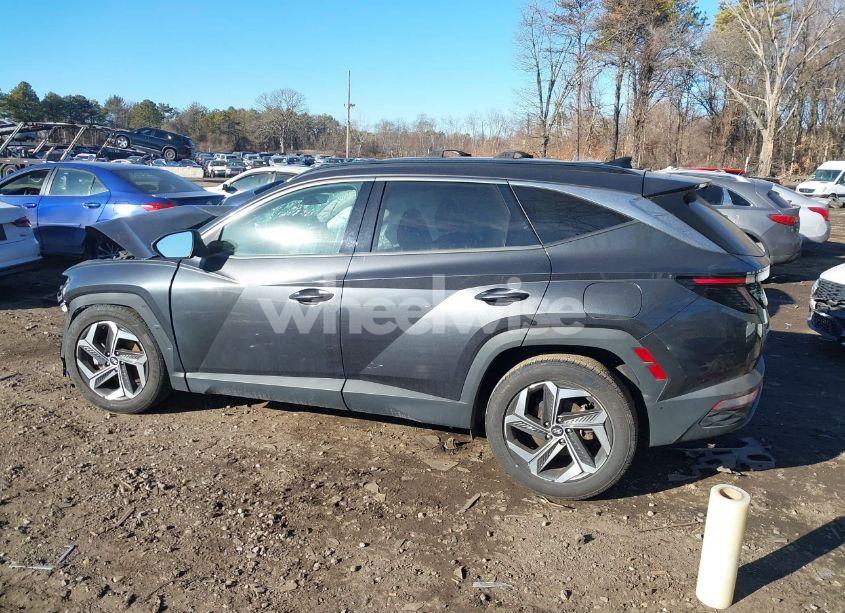 Photo 13 of 2022 Hyundai Tucson LIMITED (VIN 5NMJECAE3NH030246)