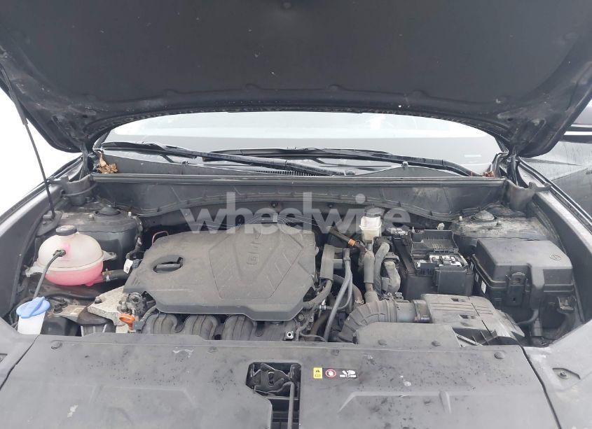 Photo 10 of 2022 Hyundai Tucson LIMITED (VIN 5NMJECAE3NH032448)