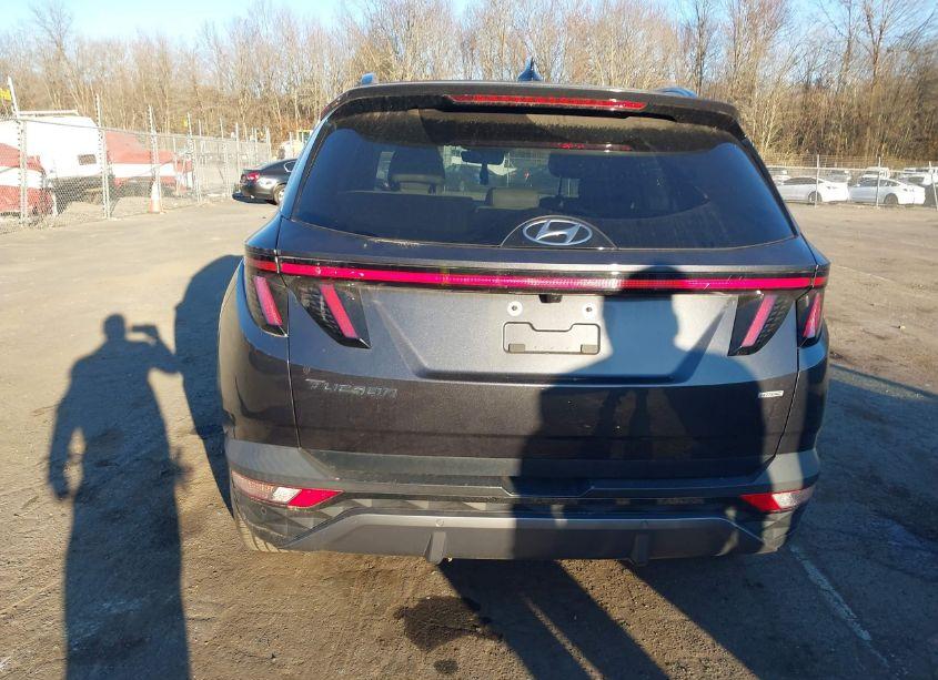 Photo 16 of 2022 Hyundai Tucson LIMITED (VIN 5NMJECAE3NH047886)