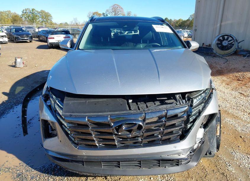 Photo 13 of 2023 Hyundai Tucson LIMITED (VIN 5NMJECAE3PH188038)