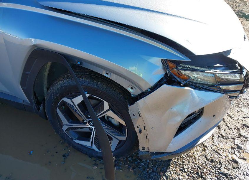 Photo 6 of 2023 Hyundai Tucson LIMITED (VIN 5NMJECAE3PH188038)