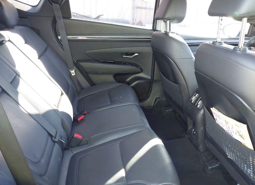 Photo 8 of 2023 Hyundai Tucson LIMITED (VIN 5NMJECAE3PH188038)