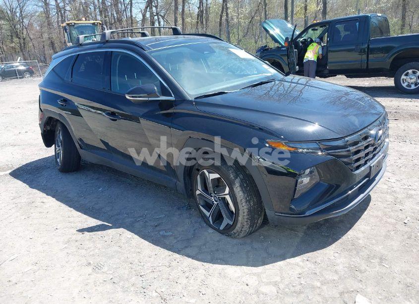 2023 Hyundai Tucson LIMITED (VIN 5NMJECAE3PH191604) main photo