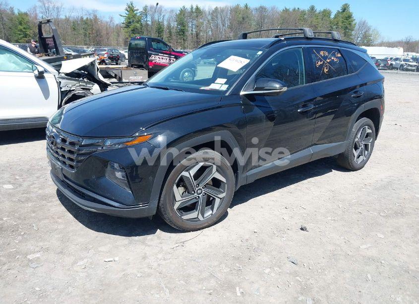 Photo 2 of 2023 Hyundai Tucson LIMITED (VIN 5NMJECAE3PH191604)