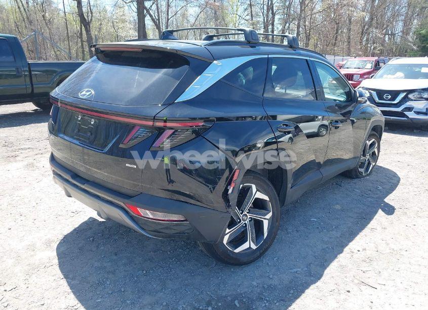 Photo 6 of 2023 Hyundai Tucson LIMITED (VIN 5NMJECAE3PH191604)