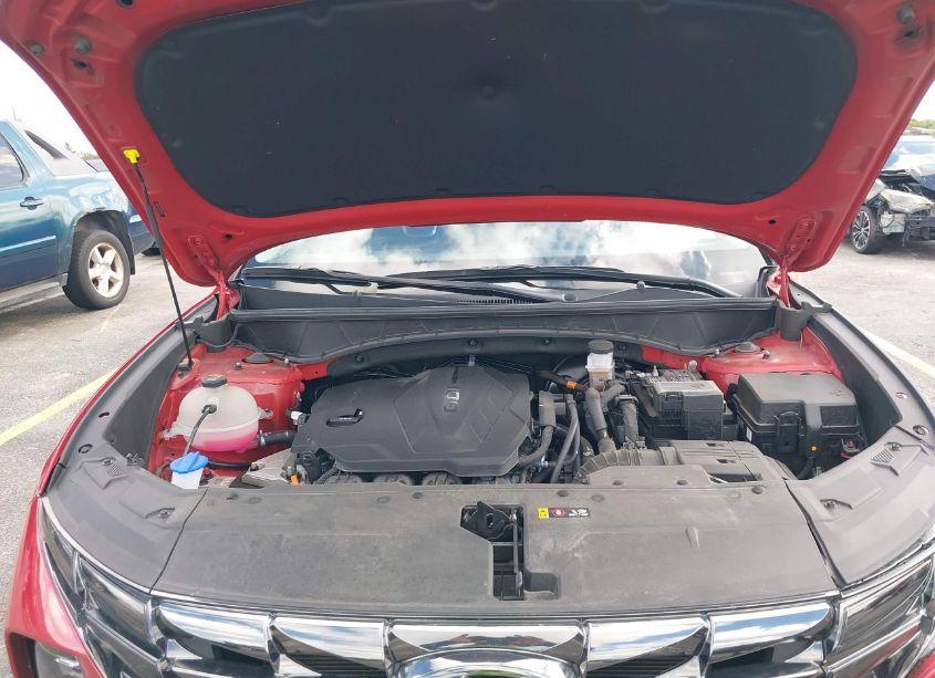 Photo 10 of 2023 Hyundai Tucson LIMITED (VIN 5NMJECAE3PH237237)