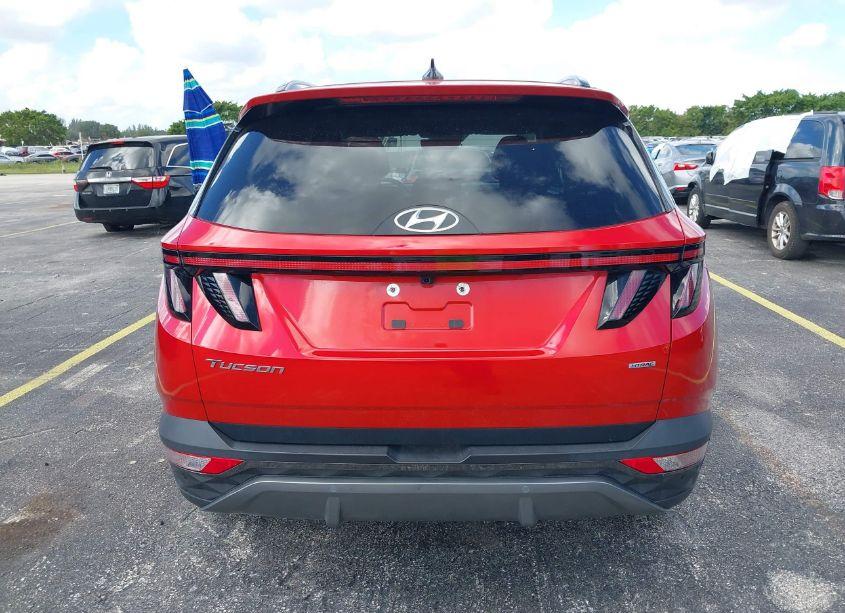 Photo 16 of 2023 Hyundai Tucson LIMITED (VIN 5NMJECAE3PH237237)