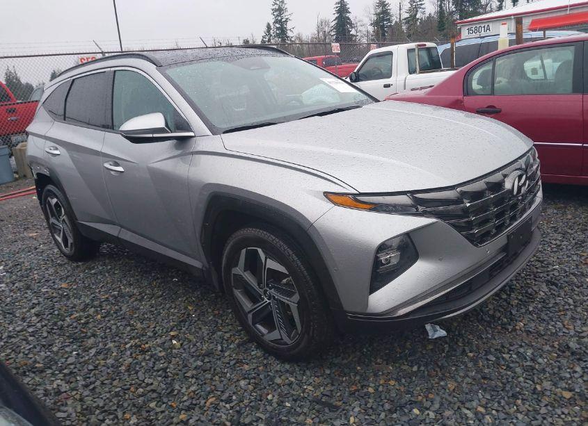 2023 Hyundai Tucson LIMITED (VIN 5NMJECAE3PH289161) main photo