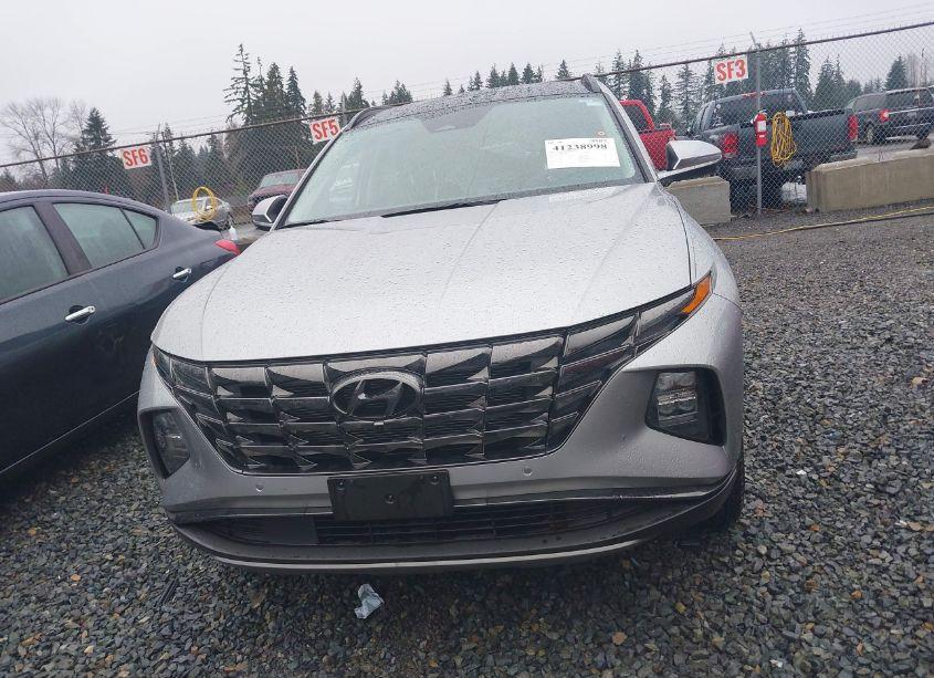 Photo 13 of 2023 Hyundai Tucson LIMITED (VIN 5NMJECAE3PH289161)