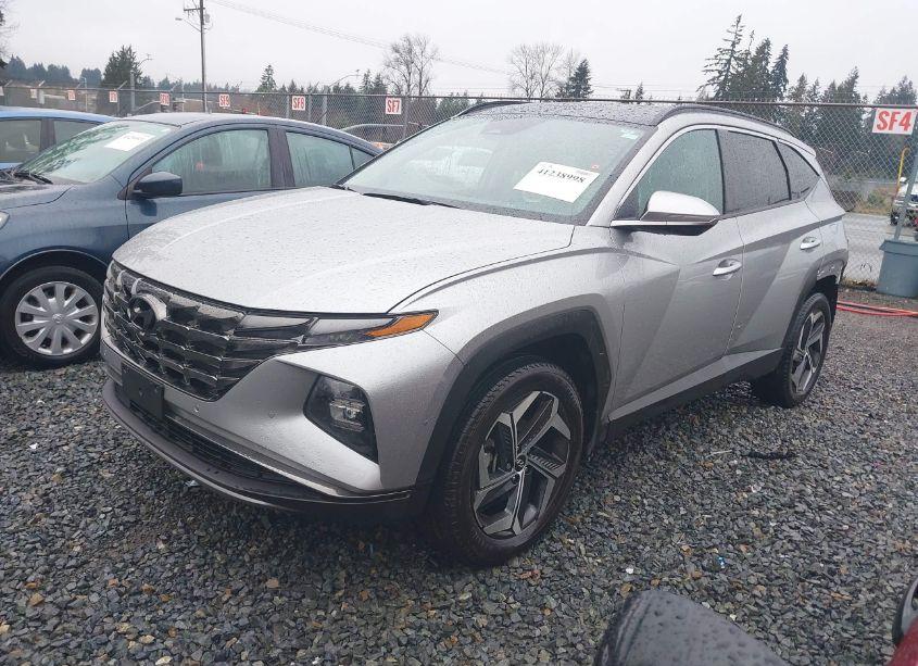 Photo 2 of 2023 Hyundai Tucson LIMITED (VIN 5NMJECAE3PH289161)