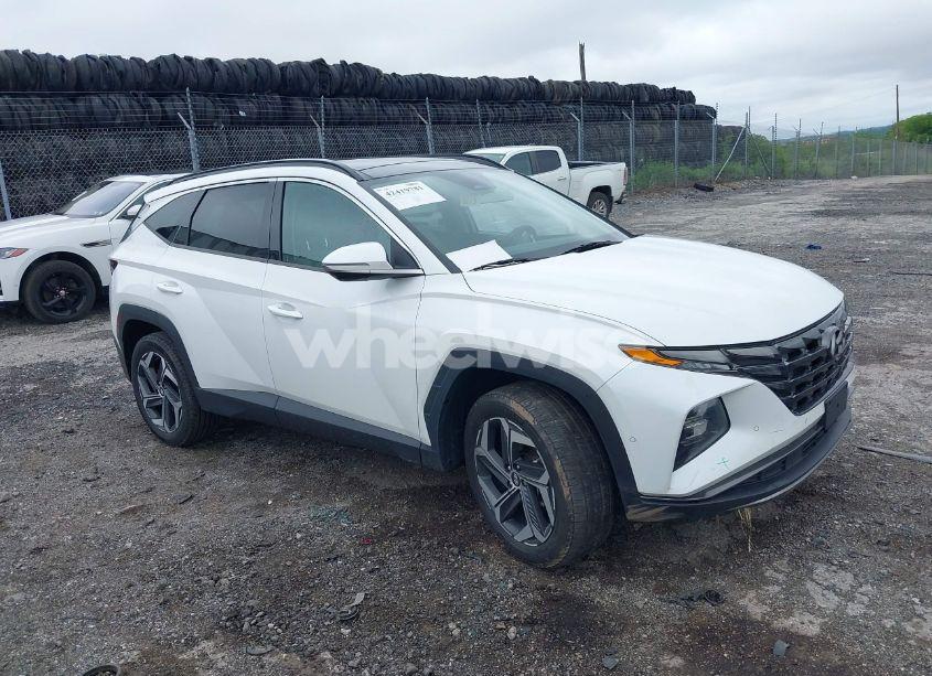 2022 Hyundai Tucson LIMITED (VIN 5NMJECAE4NH043250) main photo