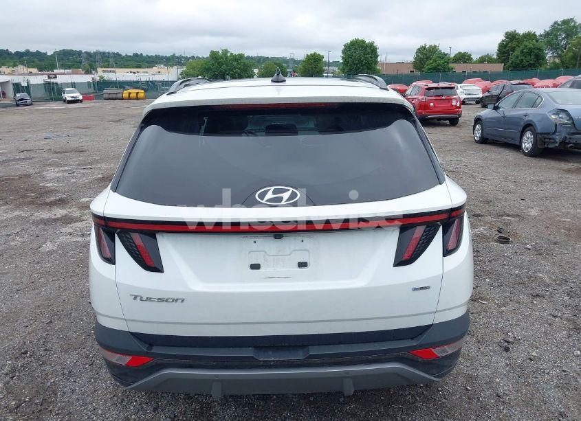 Photo 17 of 2022 Hyundai Tucson LIMITED (VIN 5NMJECAE4NH043250)