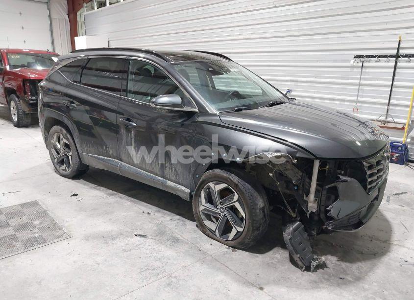 2023 Hyundai Tucson LIMITED (VIN 5NMJECAE4PH182572) main photo