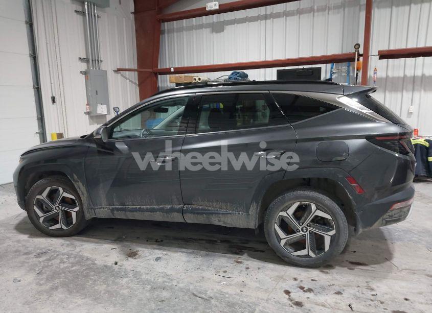 Photo 14 of 2023 Hyundai Tucson LIMITED (VIN 5NMJECAE4PH182572)