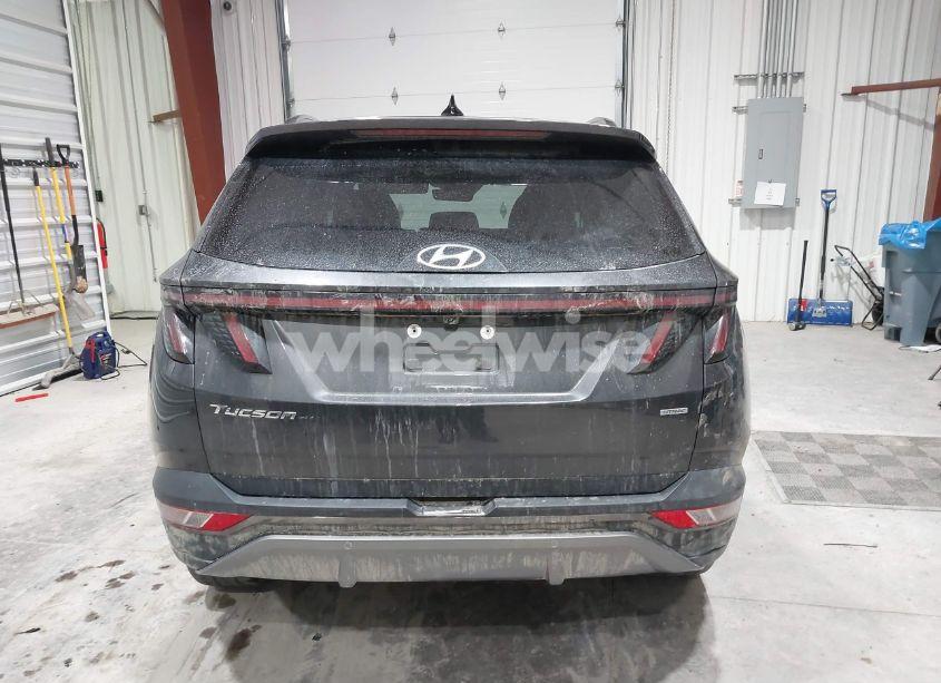 Photo 16 of 2023 Hyundai Tucson LIMITED (VIN 5NMJECAE4PH182572)