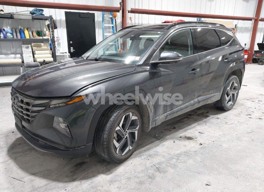 Photo 2 of 2023 Hyundai Tucson LIMITED (VIN 5NMJECAE4PH182572)