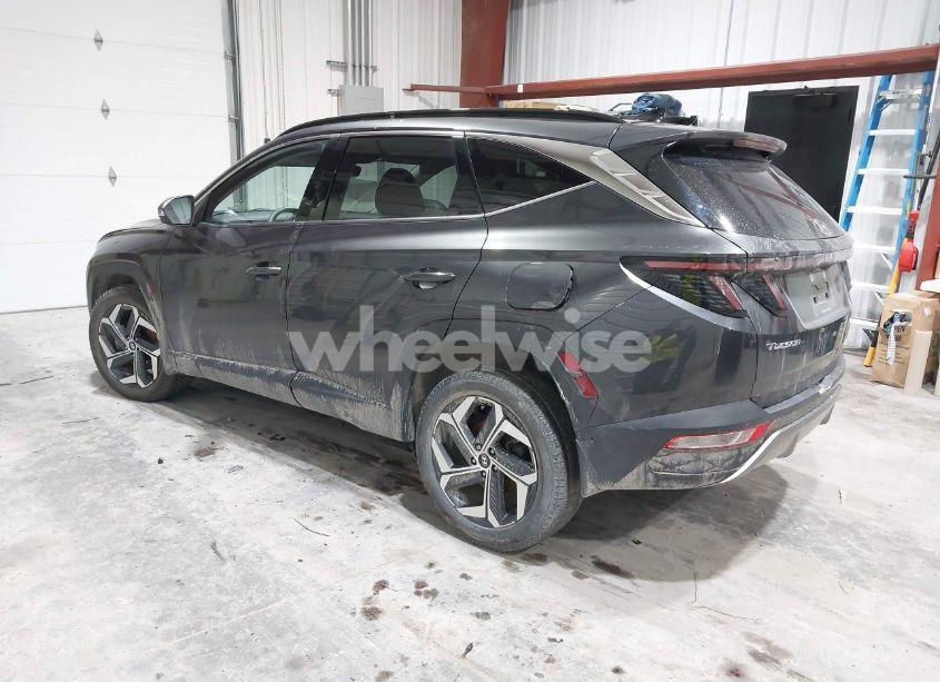 Photo 3 of 2023 Hyundai Tucson LIMITED (VIN 5NMJECAE4PH182572)