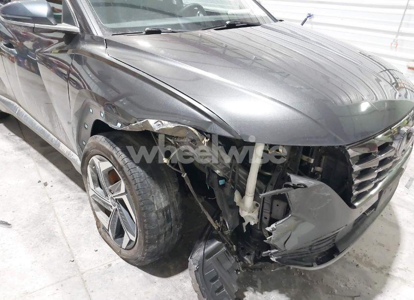 Photo 6 of 2023 Hyundai Tucson LIMITED (VIN 5NMJECAE4PH182572)