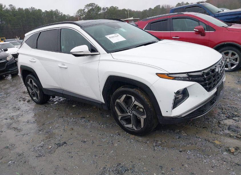 2023 Hyundai Tucson LIMITED (VIN 5NMJECAE4PH183625) main photo