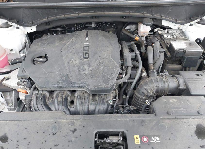 Photo 10 of 2023 Hyundai Tucson LIMITED (VIN 5NMJECAE4PH183625)