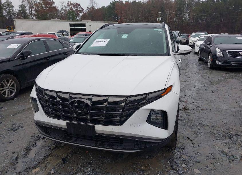 Photo 12 of 2023 Hyundai Tucson LIMITED (VIN 5NMJECAE4PH183625)