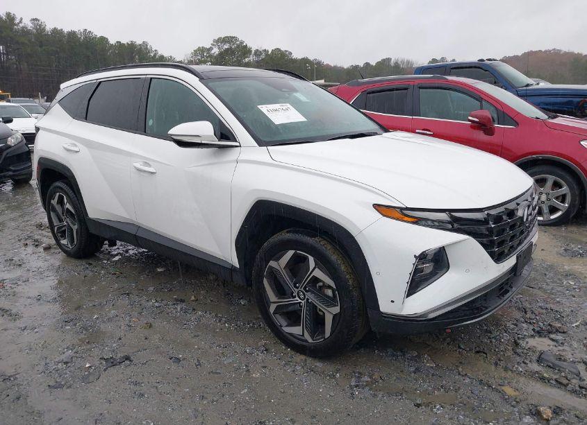 Photo 13 of 2023 Hyundai Tucson LIMITED (VIN 5NMJECAE4PH183625)