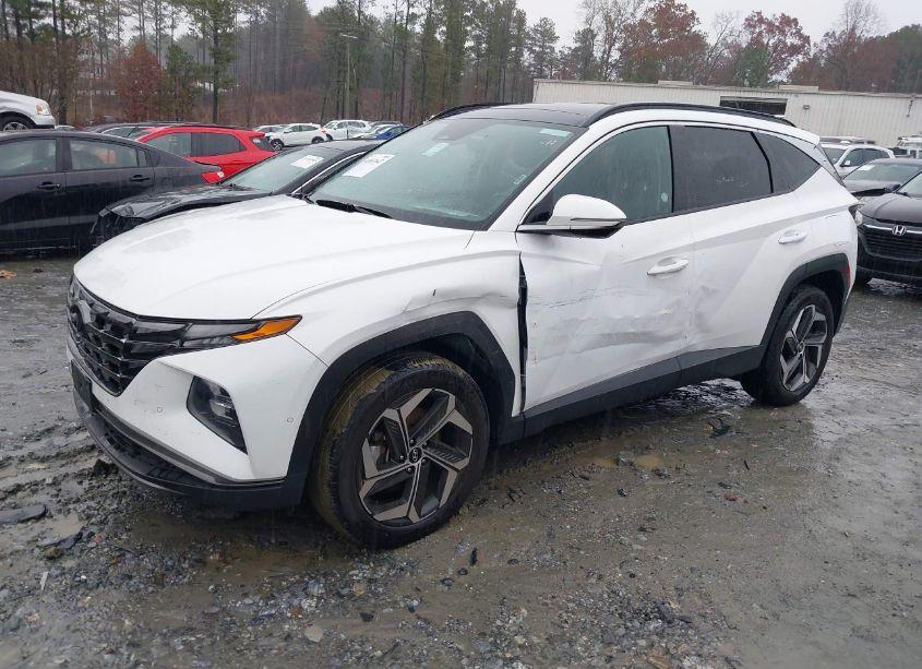 Photo 14 of 2023 Hyundai Tucson LIMITED (VIN 5NMJECAE4PH183625)