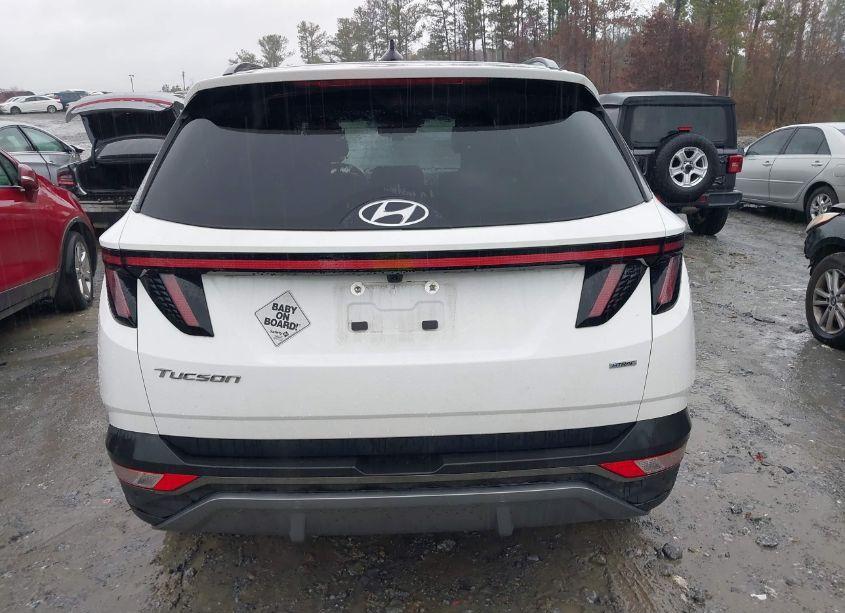 Photo 16 of 2023 Hyundai Tucson LIMITED (VIN 5NMJECAE4PH183625)