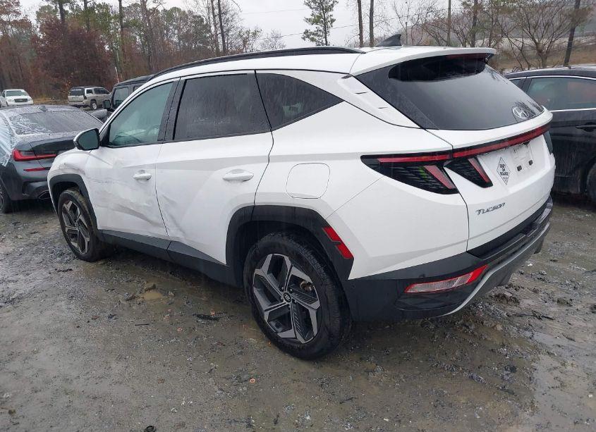 Photo 3 of 2023 Hyundai Tucson LIMITED (VIN 5NMJECAE4PH183625)