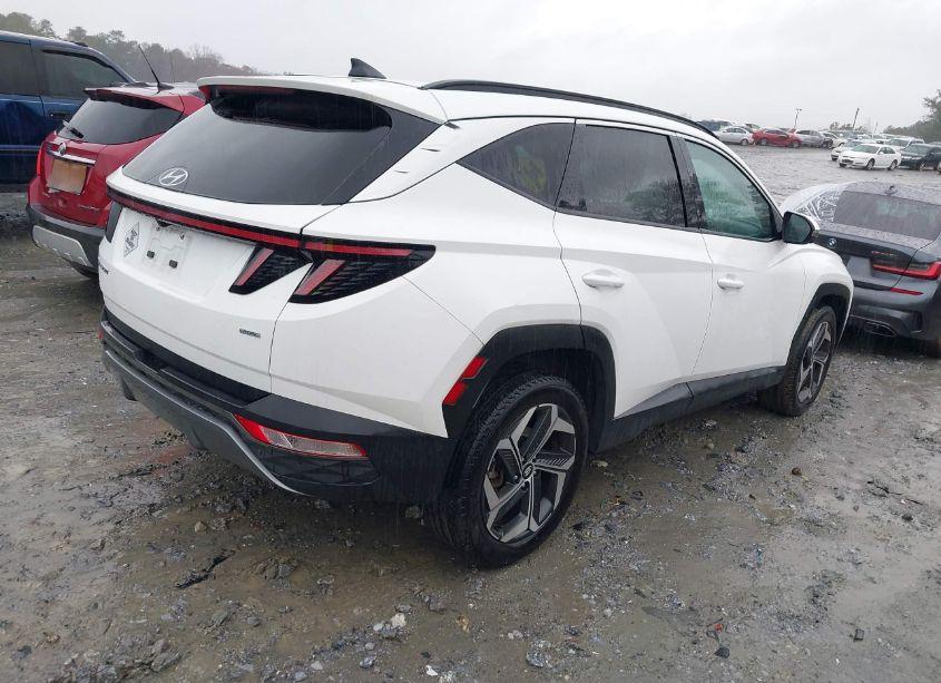 Photo 4 of 2023 Hyundai Tucson LIMITED (VIN 5NMJECAE4PH183625)