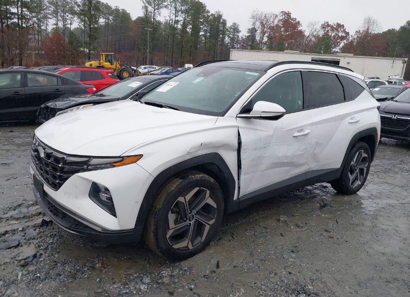 Photo 6 of 2023 Hyundai Tucson LIMITED (VIN 5NMJECAE4PH183625)