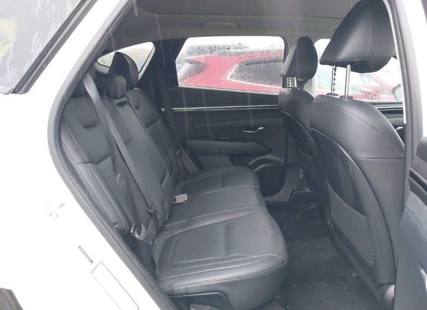 Photo 8 of 2023 Hyundai Tucson LIMITED (VIN 5NMJECAE4PH183625)