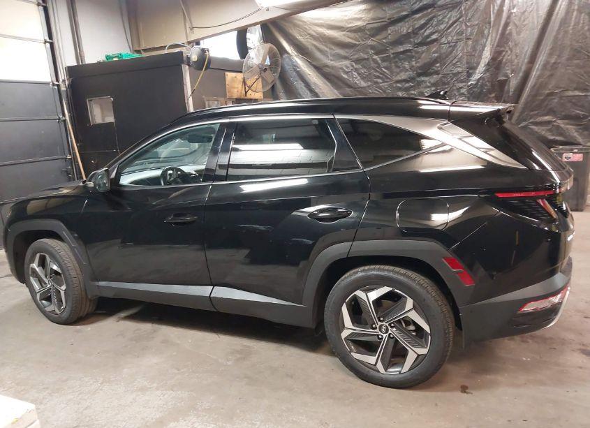 Photo 14 of 2023 Hyundai Tucson LIMITED (VIN 5NMJECAE4PH216848)