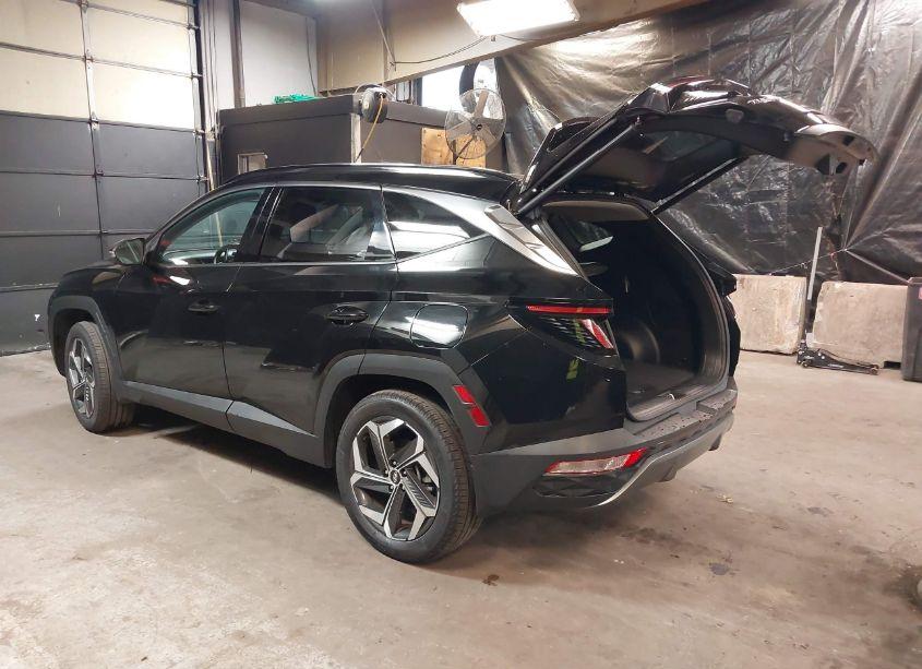 Photo 3 of 2023 Hyundai Tucson LIMITED (VIN 5NMJECAE4PH216848)