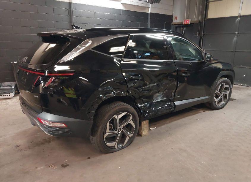 Photo 4 of 2023 Hyundai Tucson LIMITED (VIN 5NMJECAE4PH216848)