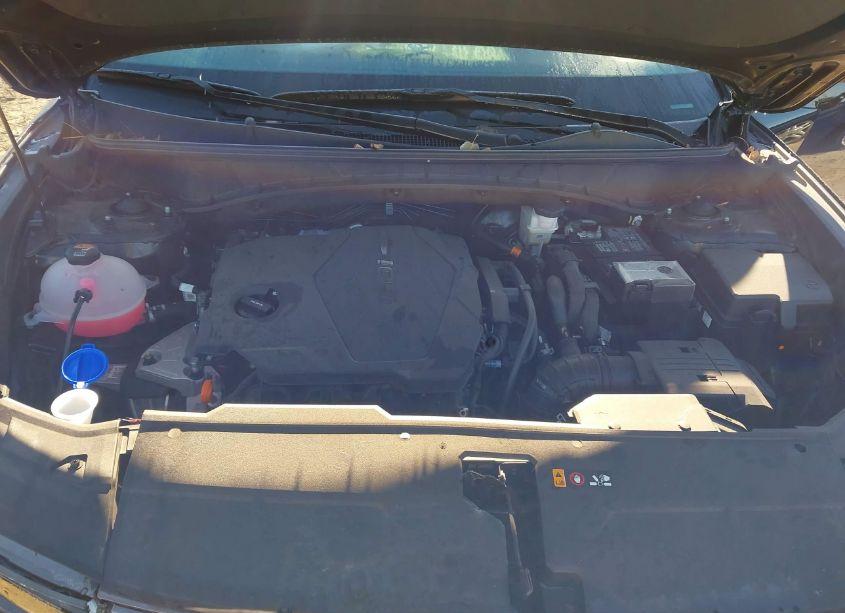 Photo 10 of 2023 Hyundai Tucson LIMITED (VIN 5NMJECAE4PH276726)