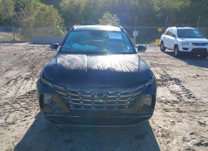 Photo 12 of 2023 Hyundai Tucson LIMITED (VIN 5NMJECAE4PH276726)