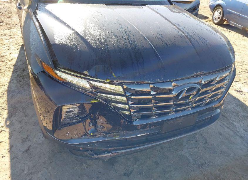 Photo 6 of 2023 Hyundai Tucson LIMITED (VIN 5NMJECAE4PH276726)