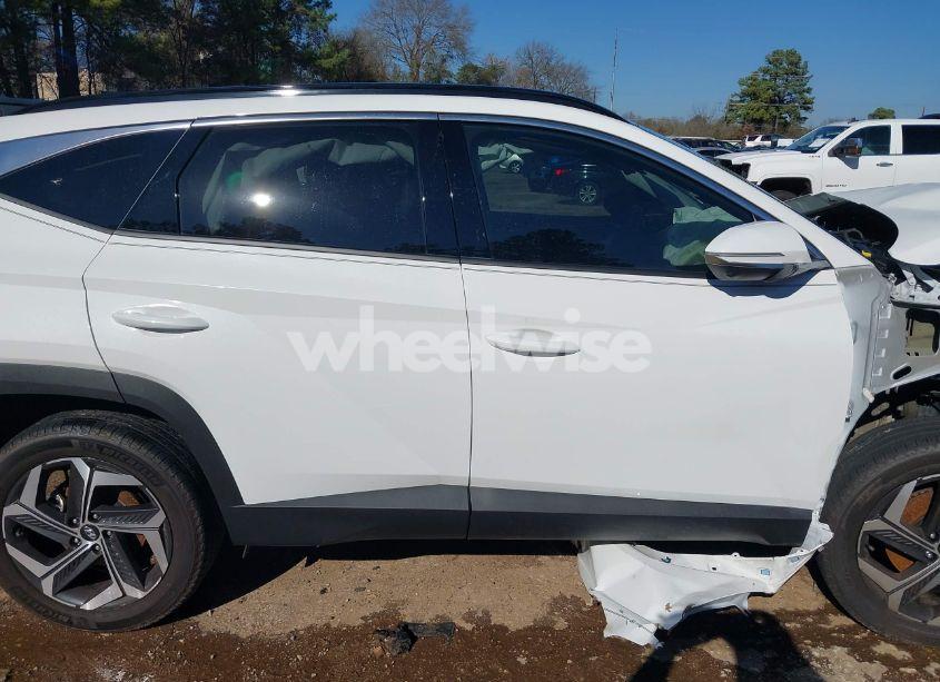 Photo 13 of 2023 Hyundai Tucson LIMITED (VIN 5NMJECAE5PH176411)