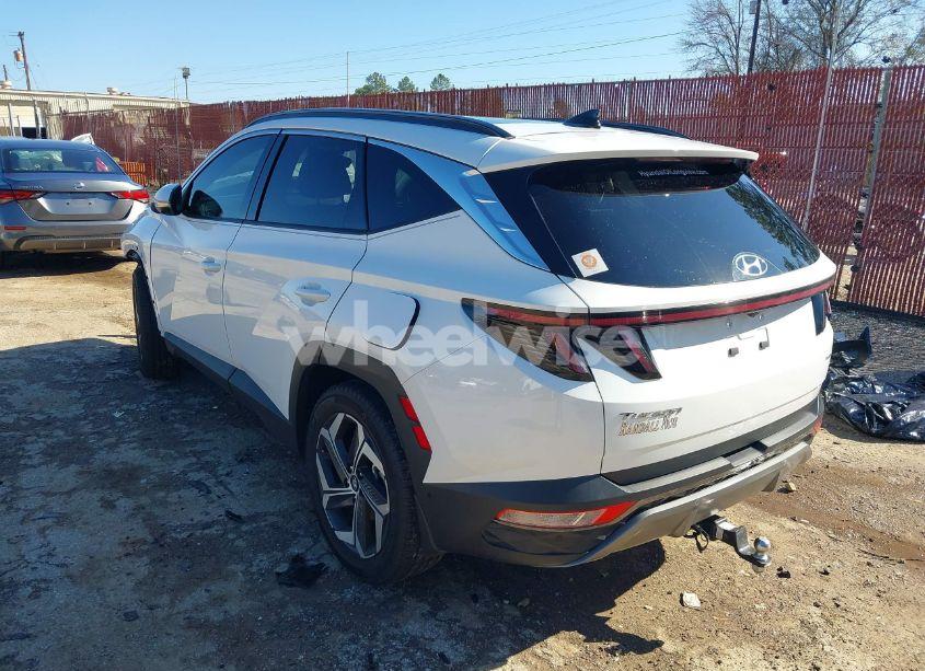 Photo 3 of 2023 Hyundai Tucson LIMITED (VIN 5NMJECAE5PH176411)