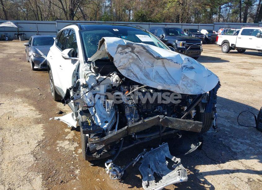 Photo 6 of 2023 Hyundai Tucson LIMITED (VIN 5NMJECAE5PH176411)