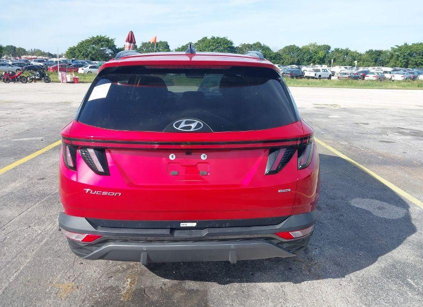 Photo 16 of 2023 Hyundai Tucson LIMITED (VIN 5NMJECAE5PH203493)