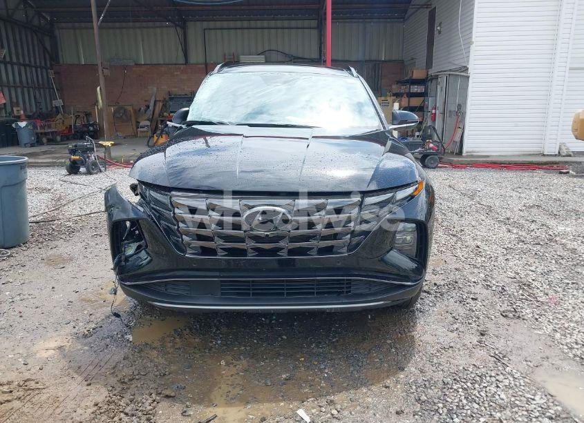 Photo 13 of 2023 Hyundai Tucson LIMITED (VIN 5NMJECAE5PH224697)