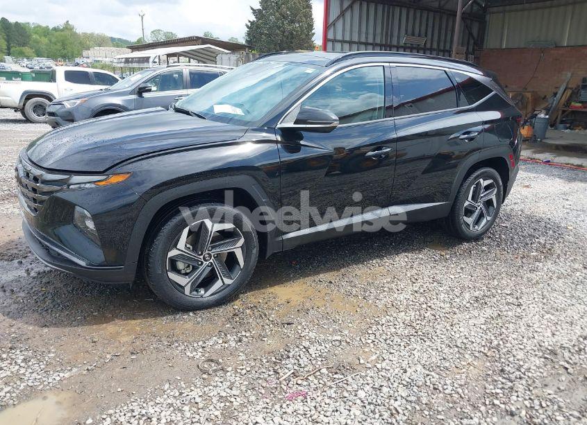 Photo 2 of 2023 Hyundai Tucson LIMITED (VIN 5NMJECAE5PH224697)