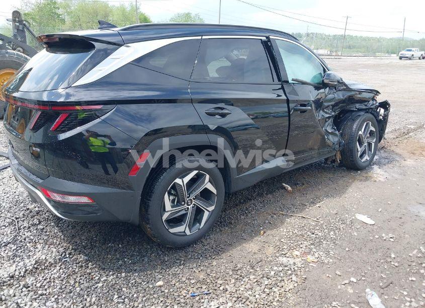 Photo 4 of 2023 Hyundai Tucson LIMITED (VIN 5NMJECAE5PH224697)