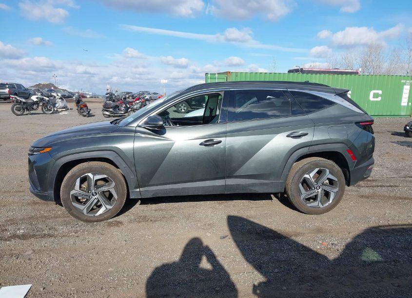 Photo 14 of 2023 Hyundai Tucson LIMITED (VIN 5NMJECAE6PH164543)