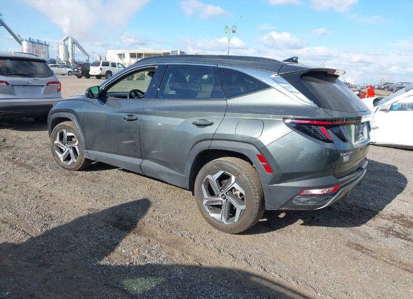 Photo 3 of 2023 Hyundai Tucson LIMITED (VIN 5NMJECAE6PH164543)