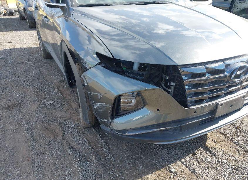 Photo 6 of 2023 Hyundai Tucson LIMITED (VIN 5NMJECAE6PH164543)