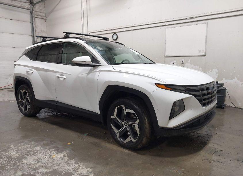 2023 Hyundai Tucson LIMITED (VIN 5NMJECAE6PH192536) main photo