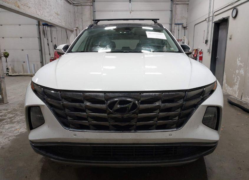 Photo 12 of 2023 Hyundai Tucson LIMITED (VIN 5NMJECAE6PH192536)
